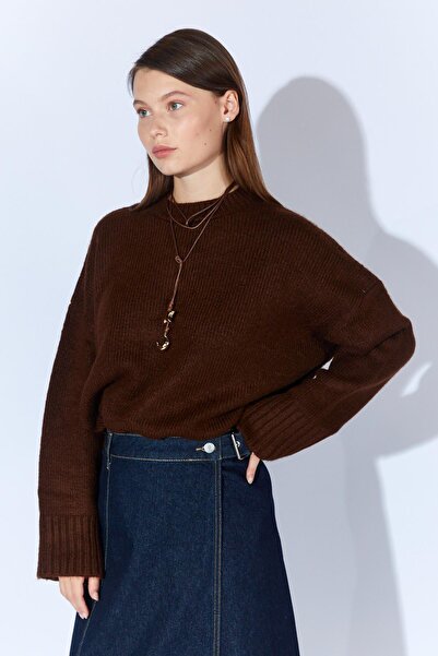 TENA Women's Brown Crew Neck Basic Knit Sweater