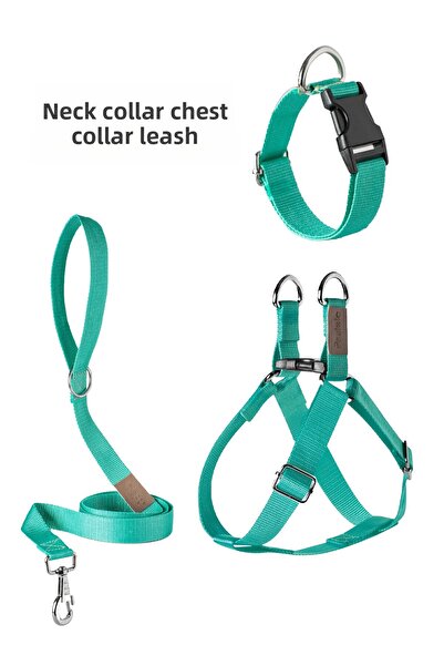 pasiole طوق للكلاب، طوق للتنزه، طوق للرقبة