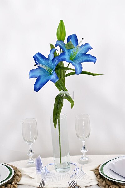 Yapay Çiçek Deposu Μακρύ κλαδί Ποιοτικό Τεχνητό Λουλούδι Κρίνος 70 εκ. Μπλε