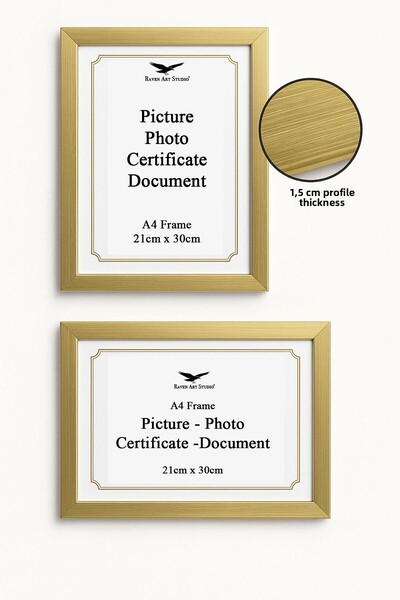 Raven Art Studio إطار صور ووثائق من الزجاج البليكسي غير القابل للكسر مقاس A4 (21 سم × 30 سم) من إرموتاج