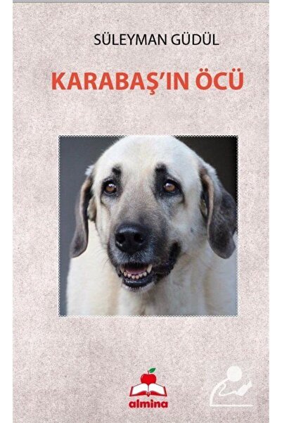 ALMİNA Novel