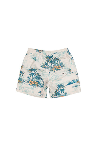 Quiksilver Longmanhill Чоловічі шорти для волейболу ЧОЛОВІЧІ ШОРТИ ДЛЯ ВОЛЕЙБОЛУ EQYJV04063