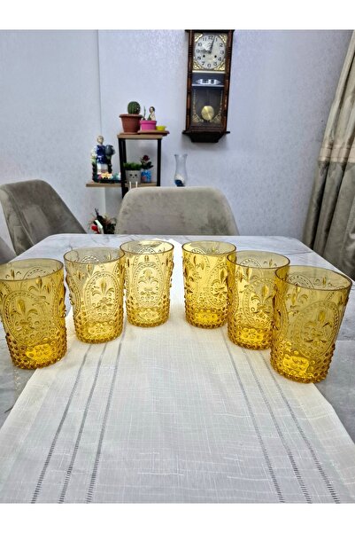 Avantaj Kapıda Set of 6 Acrylic Water Soft Drink Ayran Cups (Not Glass) – | Unbreakable |   Home and Business-Gift