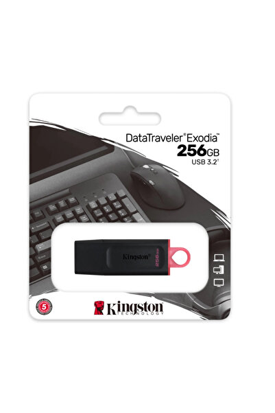 Kingston 256 جيجابايت USB3.2 Gen1 Dtx/256 جيجابايت إكسوديا