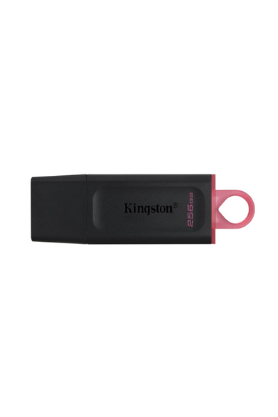Kingston 256 جيجابايت USB3.2 Gen1 Dtx/256 جيجابايت إكسوديا