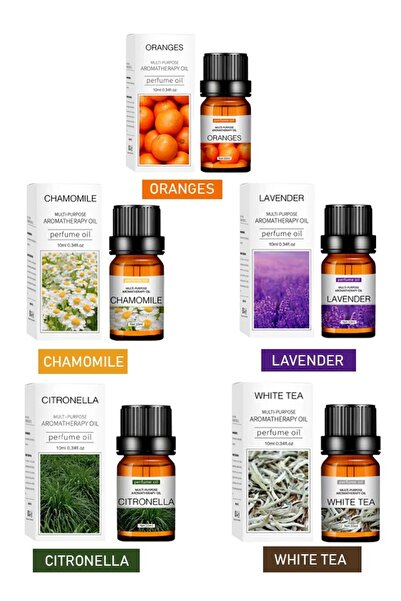 Raffine Pack of 5 Natural and Pure Premium Multi Scented Diffuser Aromatherap...