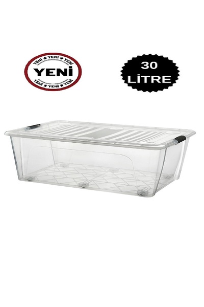DEEMBRO 30 Lt Large Storage Box Storage Container 2 Color Options 36X 51.2 X 22.7 cm