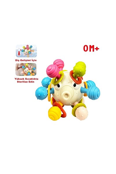 KentOyuncaK Dönen Kirpi Balığı Diş Kaşıyıcı