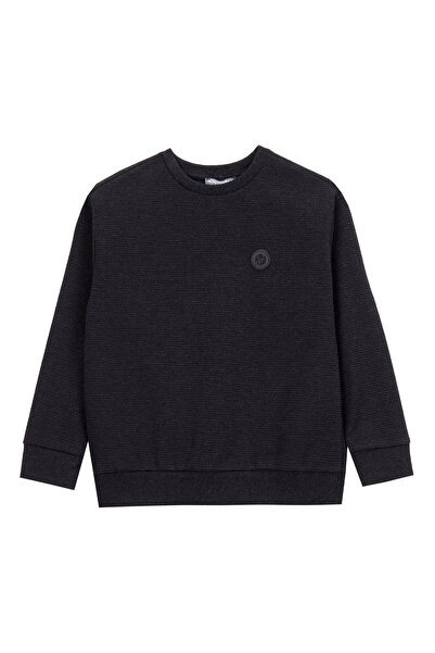 Discovery Expedition Düz Erkek Çocuk Antrasit Sweatshırt D5WB-SWT3102