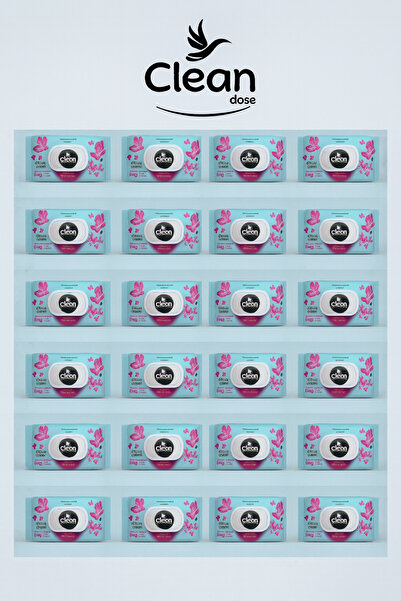 CLEAN EASE 90 lı Aromatherapy 90* 24 Paket Islak Mendil