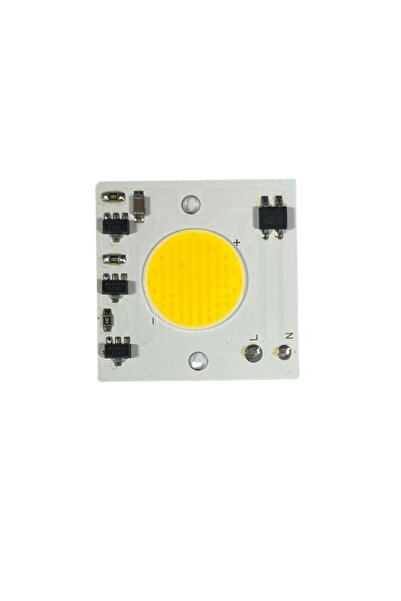 DORA LED 220Volt 30 Watt Cob Led 30W Projektör Ledi Ray Spot Ledi Gün Işığı