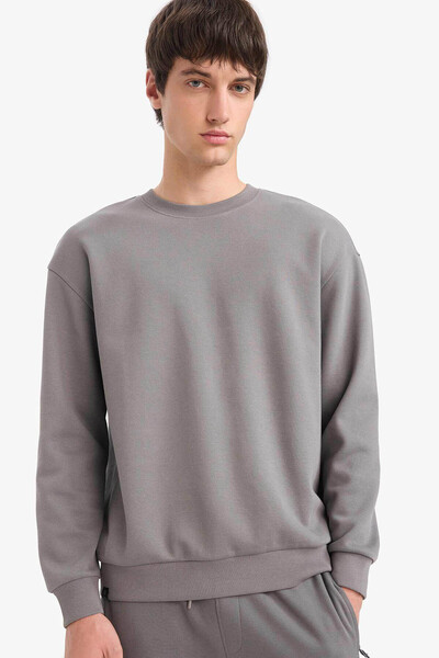 DeFacto Gray Men's Sweatshirt E1519Ax/Gr206