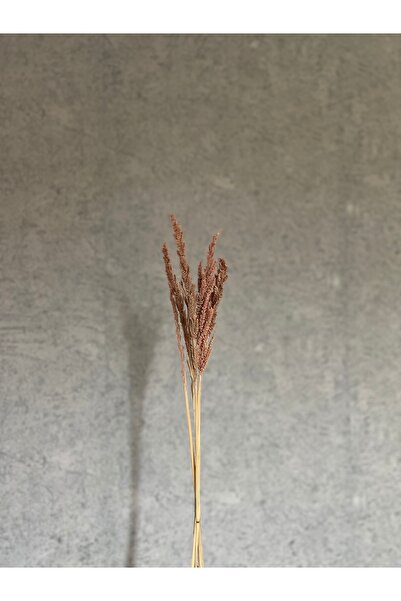 RAM GROUP Yapay & Kuru Çiçek Vazo İçin