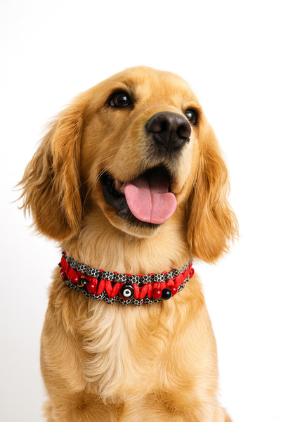 She Sells El Yapımı Dayanıklı ve Sağlıklı Çok Renkli Paracord Nazar Boncuklu Kedi & Köpek Kolyesi