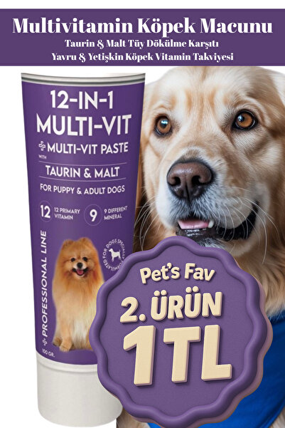 Pets Fav Köpek Multivitamin Macunu 12'si 1 Arada Taurin & Malt | Tüy ve Deri Sağlığı 100gr