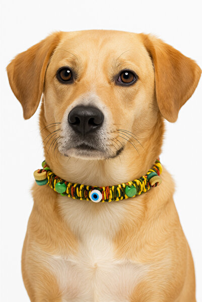 She Sells قلادة كلب من كوكيكو مع تفاصيل خرز متعدد الألوان وقلادة عين الشر (مق...