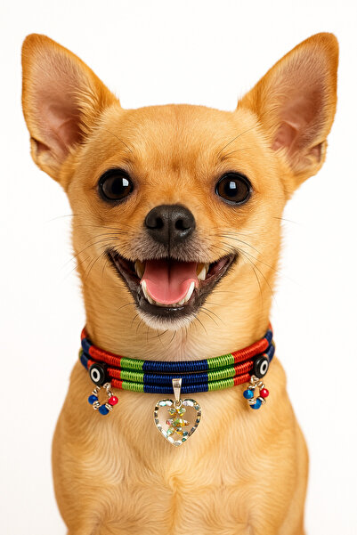 She Sells Kuçiko Nazar Boncuğu Kalp ve Ayıcık Detaylı Sallanan Charmlı Çok Renkli Köpek Kolyesi