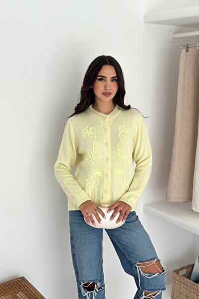 Noi Belis سترة تريكو ناعمة مطرزة بنمط AW25HI0020