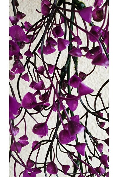 Ekozi Home SAKSIDA Yapay Sarkan Bitki