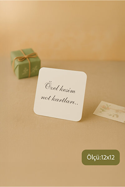 dandeliondesign Özel Kesim Kalın Beyaz Not Kartları Amerikan Bristol 210 gr 2...