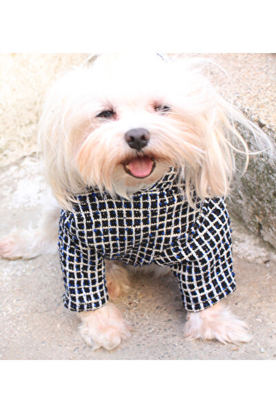 petite pati Mavi beyaz Orgu Kumaş Köpek Ve Kedi Kıyafeti & Elbisesi Sweatshirt