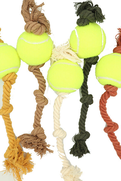 Eva & Wall-e Tennis Ball Bulk Rope Dog Toy | Durable Pull String Fetch Ball for Medium and Large Breeds
