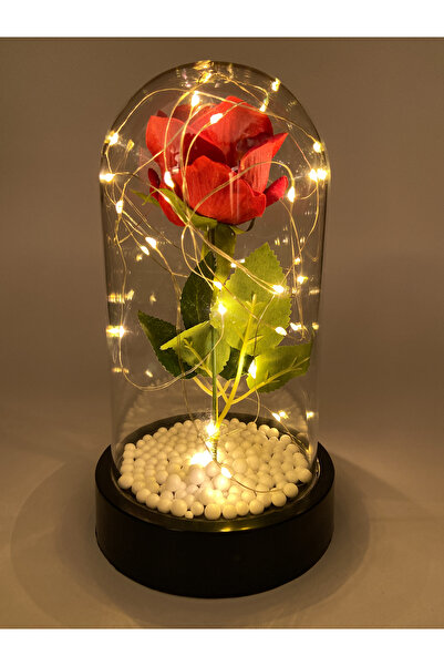 Lueeci Sevgililer Günü Özel Hediye, Fanus İçinde Kırmızı Solmayan Gül ve Gün ...