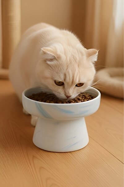 Genel Markalar Seramik Ayaklı Eğimli Kedi ve Köpek Mama Ve Su Kabı