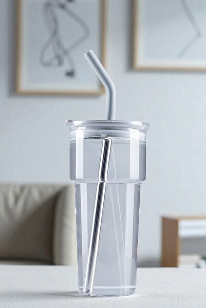 Nandy Home Γυάλινη κούπα από βοριοπυριτικό γυαλί – με καλαμάκι και καθαριστικό από ανοξείδωτο ατσάλι, δώρο, 700 ml.