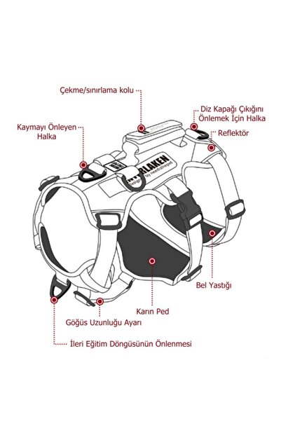 INTERLAKEN Earthtech Slim 3.0 Safra Kesesi Çıkığı Önleyici Köpek Göğüs Tasması