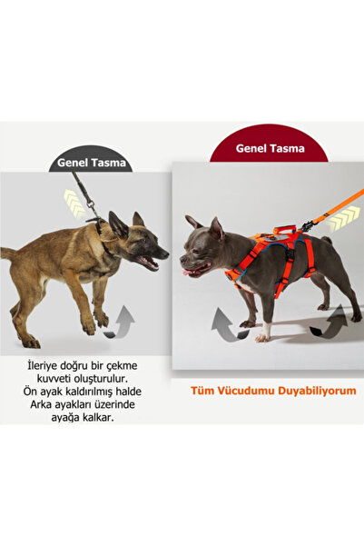 INTERLAKEN Earthtech Slim 3.0 Safra Kesesi Çıkığı Önleyici Köpek Göğüs Tasması