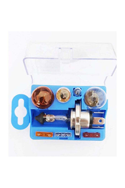 OEM Set de becuri cu halogen H4