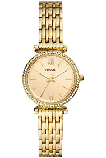 Fossil Fes5309 Women's Wristwatch