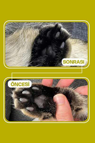 Olivacat Zeytin Çekirdeğinden Üretilen Aktif Karbonlu Tozsuz Doğal Kedi Kumu 8 L