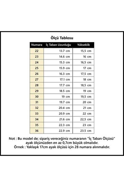 IGOR W10306 YOGI BORREGUITO