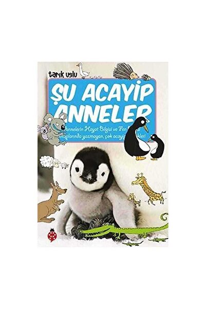 Uğurböceği Yayınları Şu Acayip Anneler