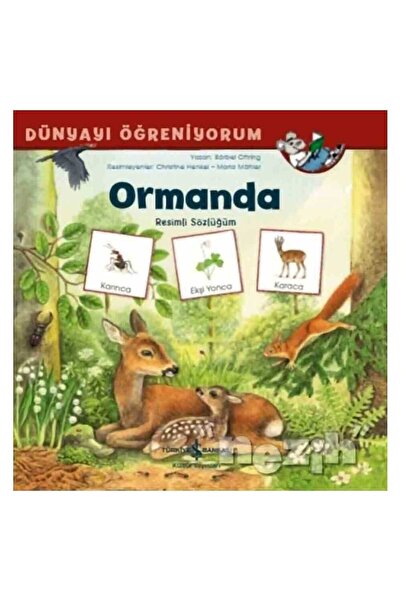 TÜRKİYE İŞ BANKASI KÜLTÜR YAYINLARI Ormanda - Dünyayı Öğreniyorum