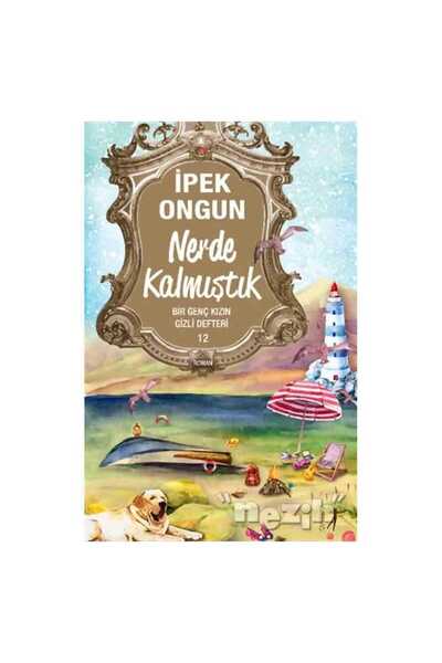 Artemis Yayınları Nerde Kalmıştık - Bir Genç Kızın Gizli Defteri 12