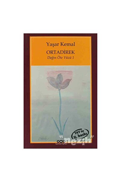 Yapı Kredi Yayınları Ortadirek - Dağın Öte Yüzü 1