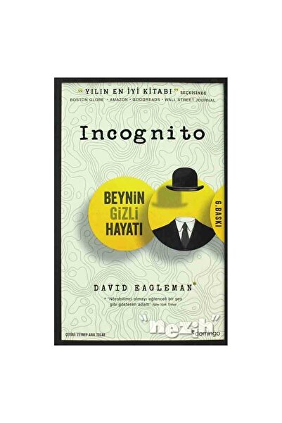 Domingo Yayınevi Incognito - Beynin Gizli Hayatı