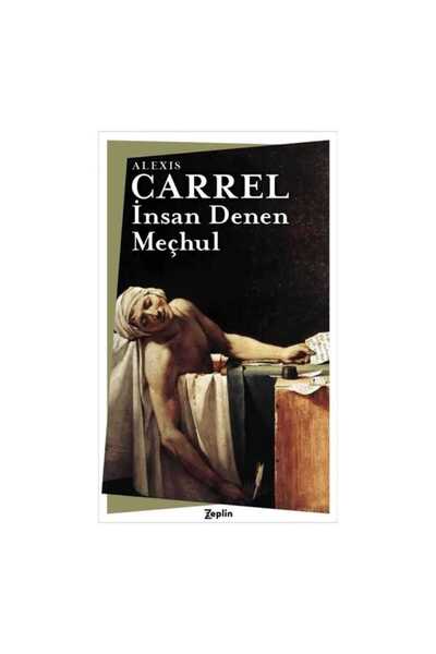 Zeplin Kitap İnsan Denen Meçhul
