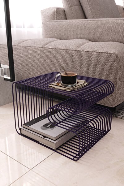 boz concept home FLORANSA Tel Metal Tasarımlı Modern Paslanmaz Yan Sehpa, Dekoratif Metal Sehpa