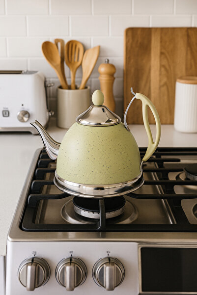 Generic tea and milk pot