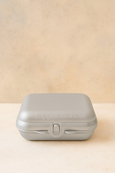 Plus Oyster Lunch Box - Gray / Pearlescent