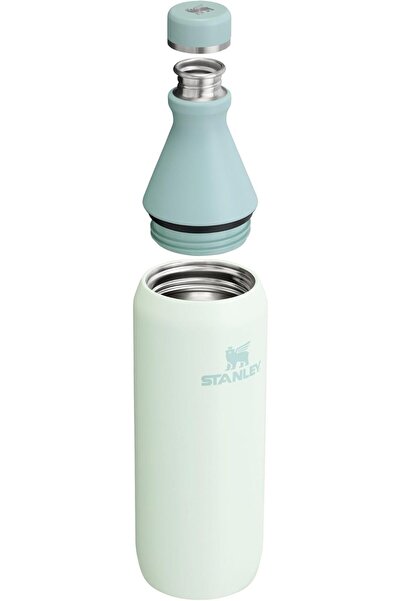 stanly Stanley All Day Slim Bottle 20 OZ | Twist off Lid with Leakproof Seal | Slim Design for Travel & Gym