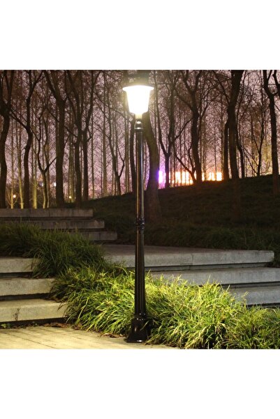 Danex Lampa Solara de Tip Stalp pentru Gradina, Alb Cald, Abs + Plastic,