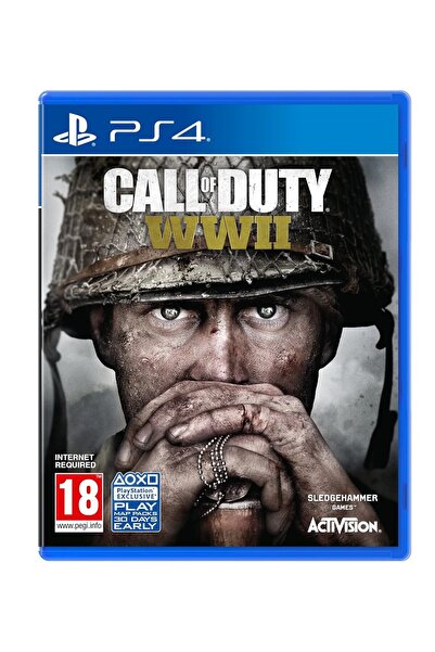 Çınar Bilişim Dünyası Call Of Duty WWII PS4 Oyun