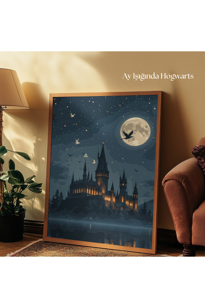 tuvart Sayılarla Boyama Seti Harry Potter 40x50cm Hogwards, Ay Işığında Hogwards