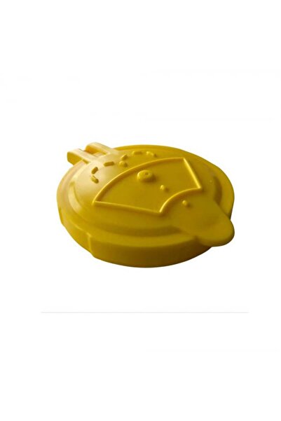 Renault Capac vas spalator parbriz pentru Latitude