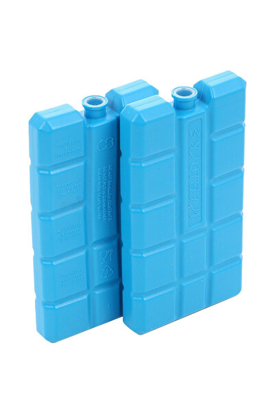 LYOBEST Set 2 Pastile Racire, acumulatori pentru Lada Frigorifica, BPA free, 200 g